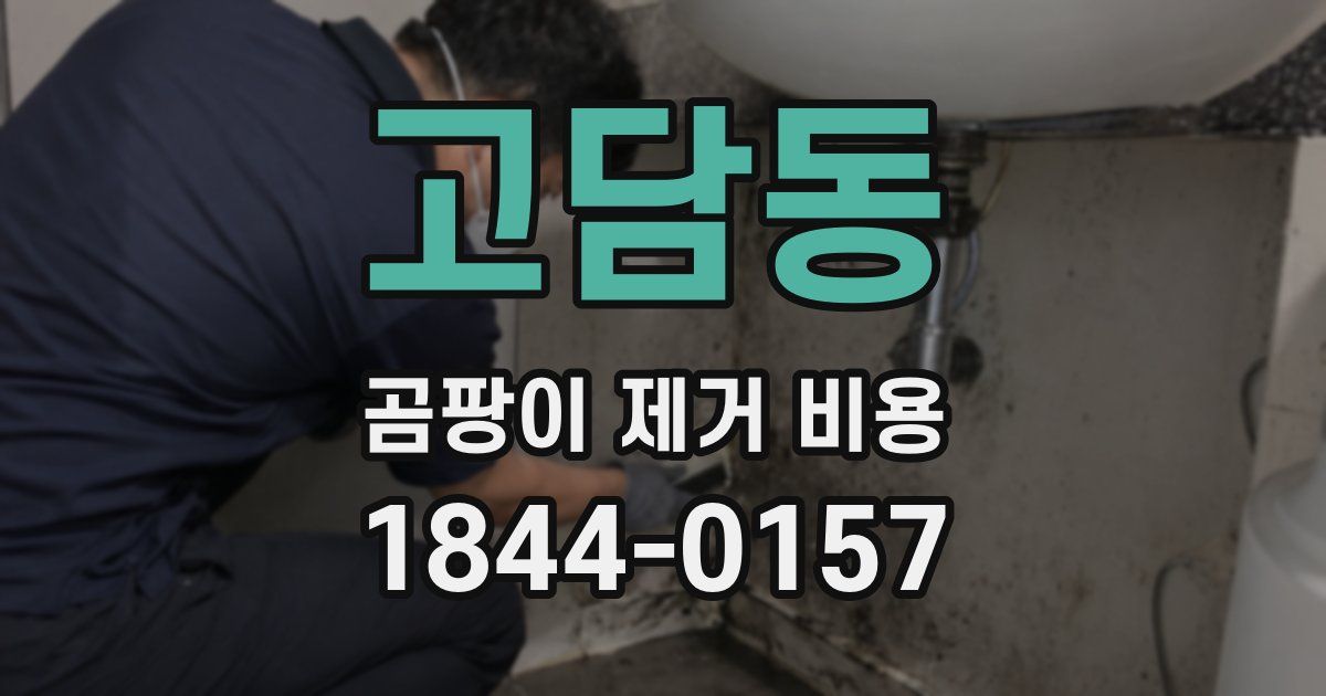 고담동 곰팡이 제거 비용