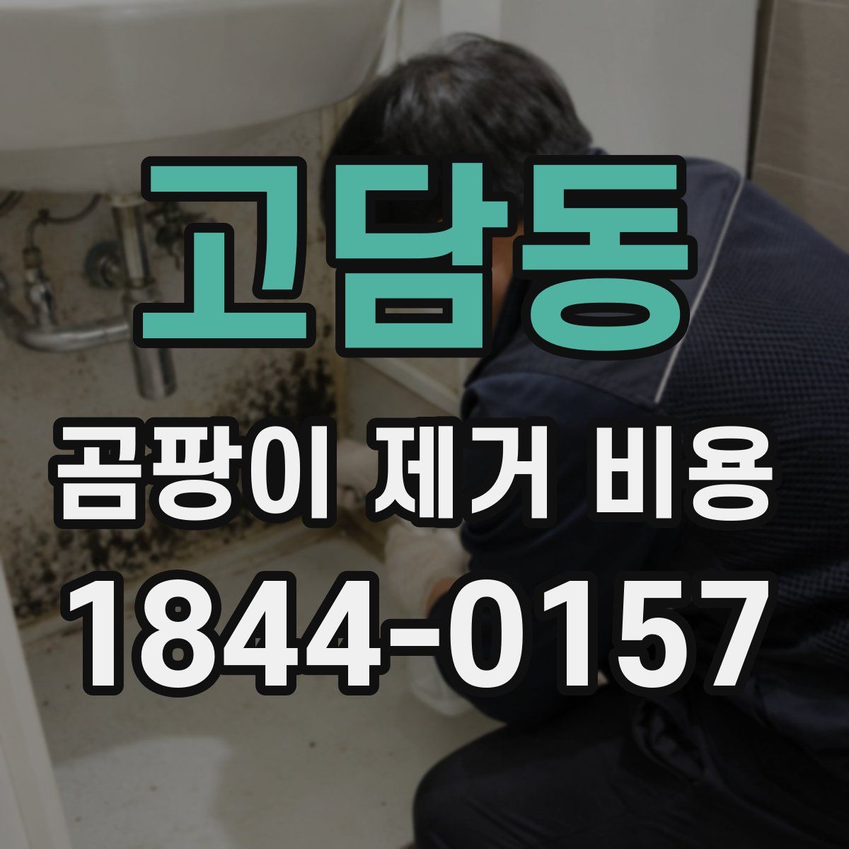 고담동 곰팡이 제거 비용