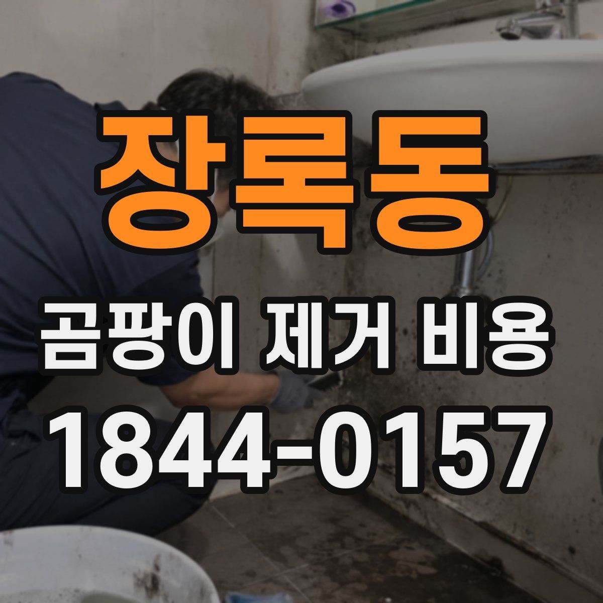 장록동 곰팡이 제거 비용
