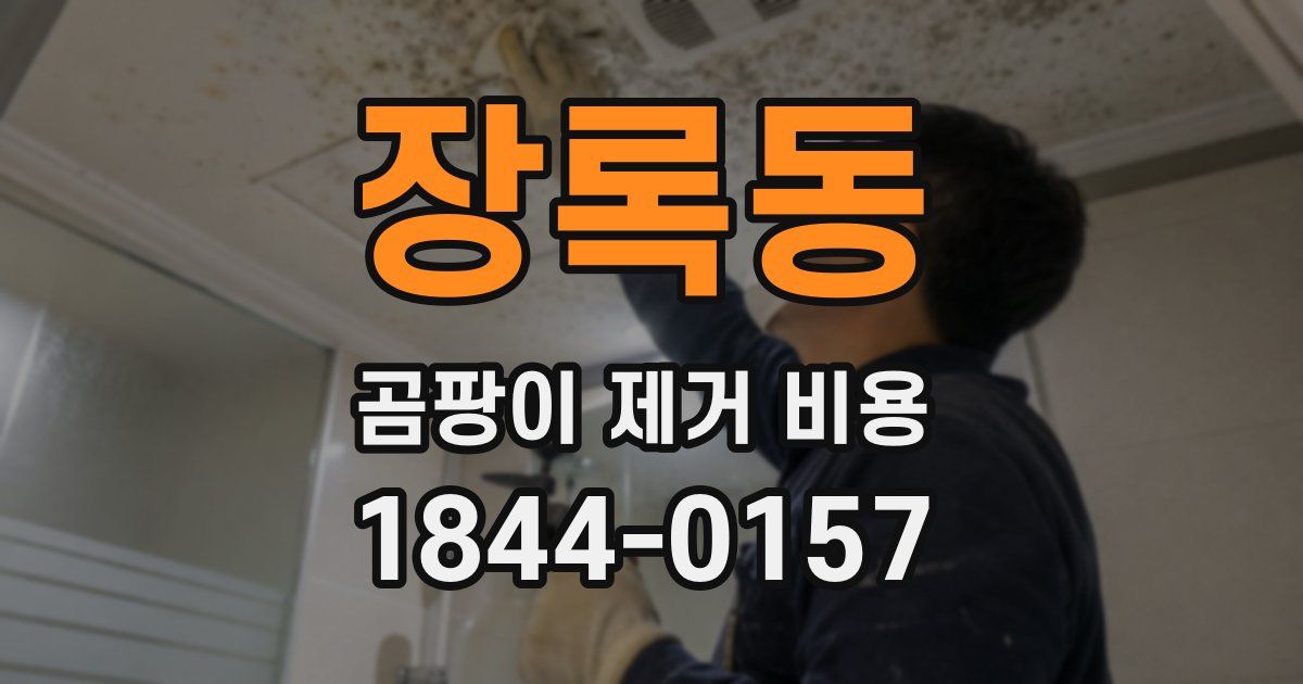장록동 곰팡이 제거 비용