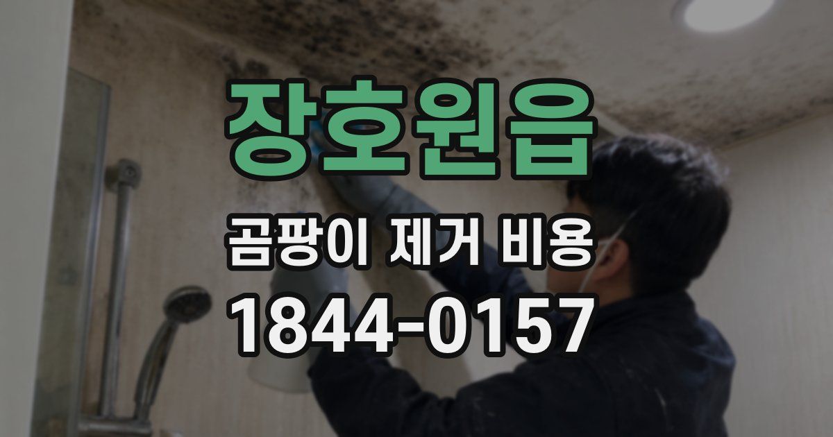 장호원읍 곰팡이 제거 비용