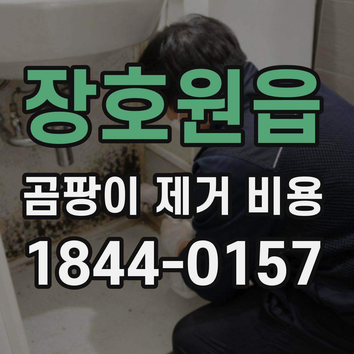 장호원읍 곰팡이 제거 비용