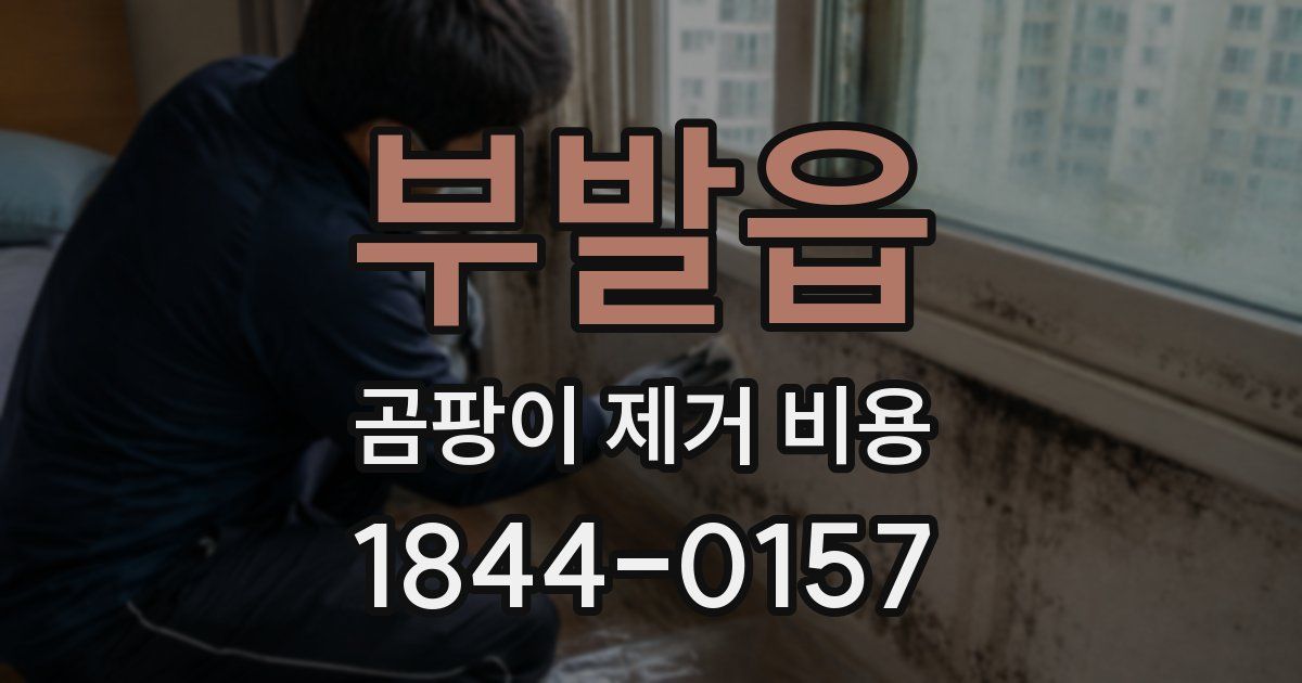 부발읍 곰팡이 제거 비용