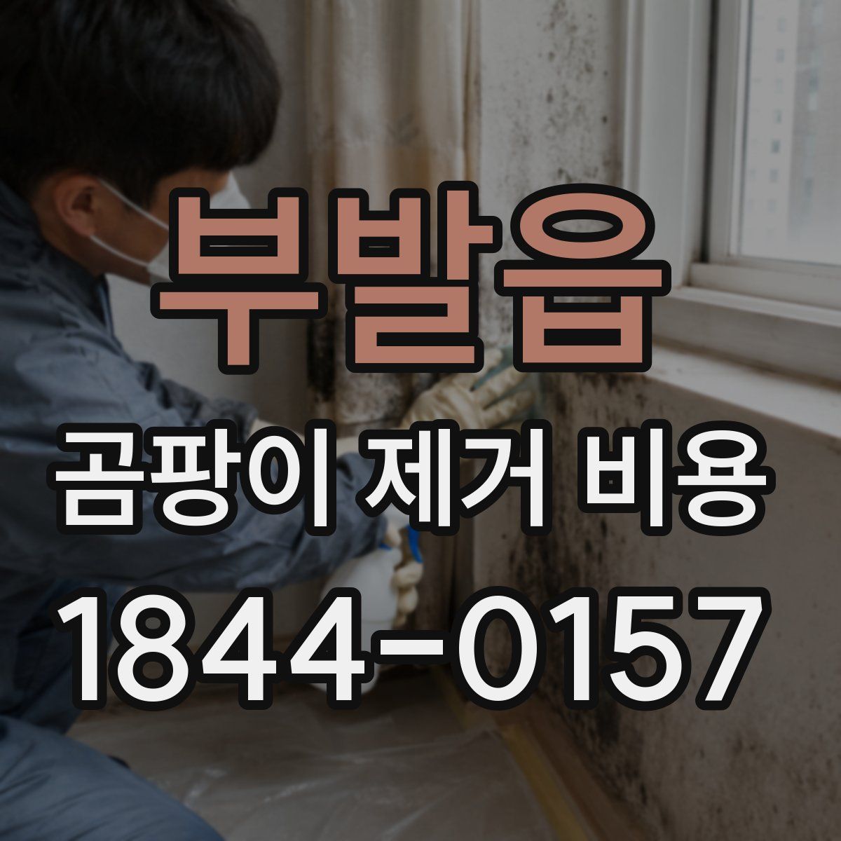 부발읍 곰팡이 제거 비용