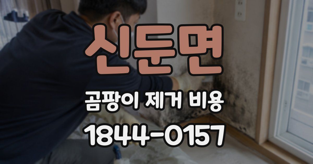 신둔면 곰팡이 제거 비용