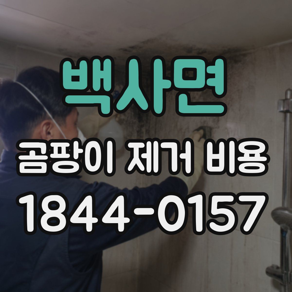 백사면 곰팡이 제거 비용