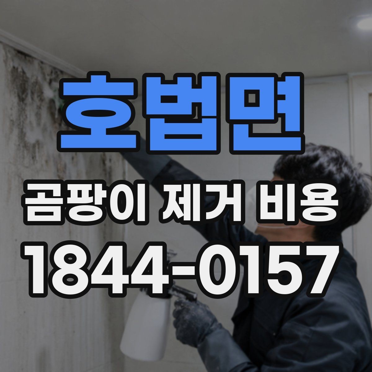 호법면 곰팡이 제거 비용 인력과 시간 산정이 달라지는 현장 포인트