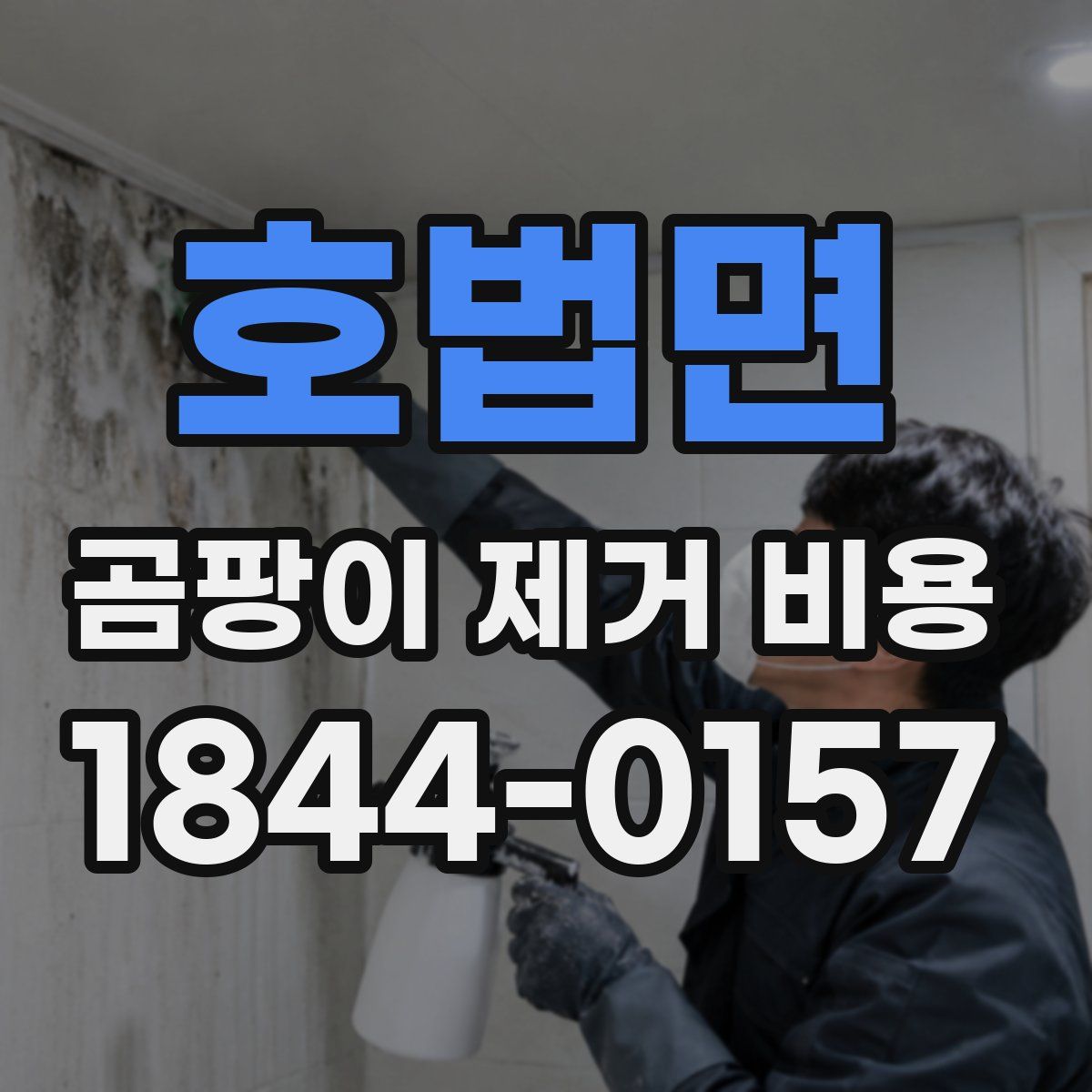호법면 곰팡이 제거 비용