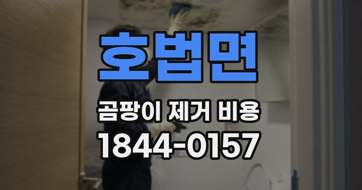 호법면 곰팡이 제거 비용