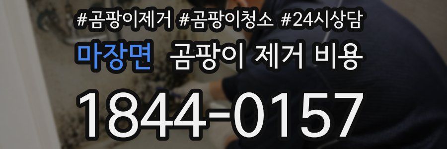 마장면 곰팡이 제거 비용