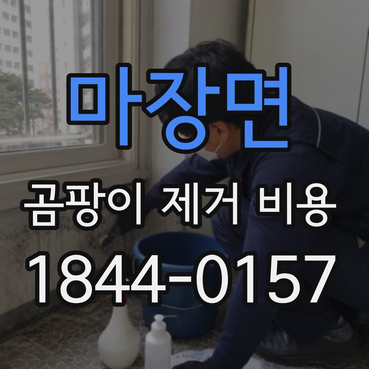 마장면 곰팡이 제거 비용