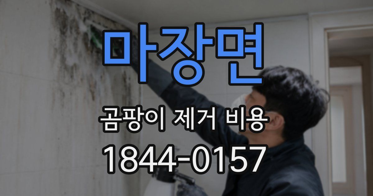 마장면 곰팡이 제거 비용