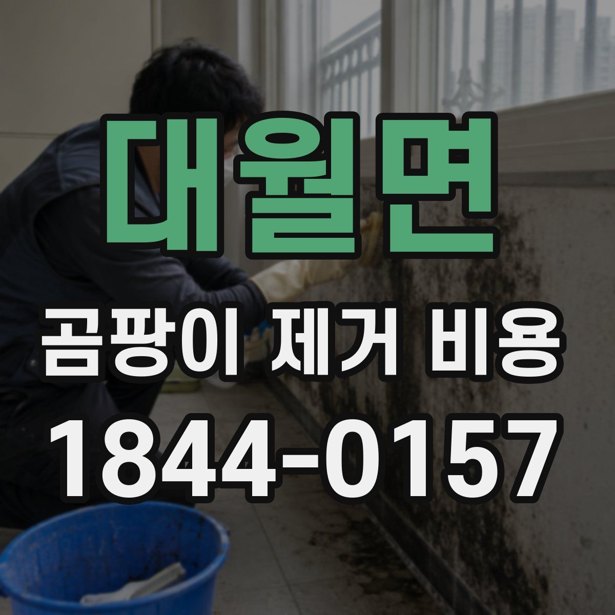 대월면 곰팡이 제거 비용