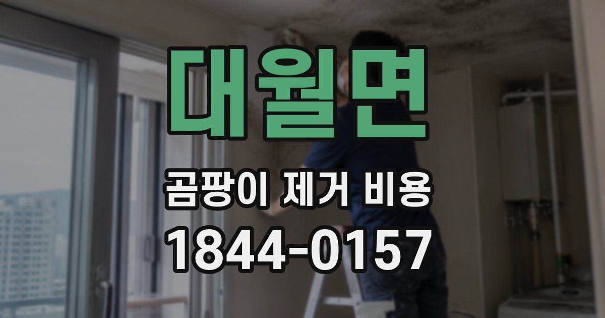 대월면 곰팡이 제거 비용