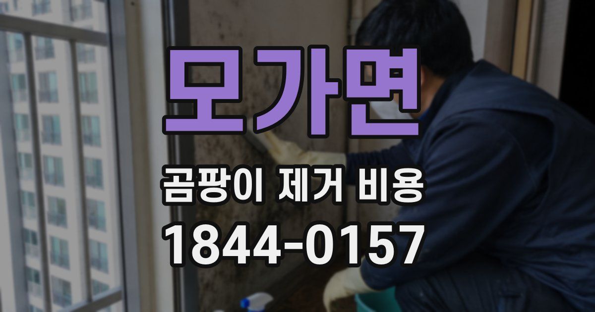 모가면 곰팡이 제거 비용