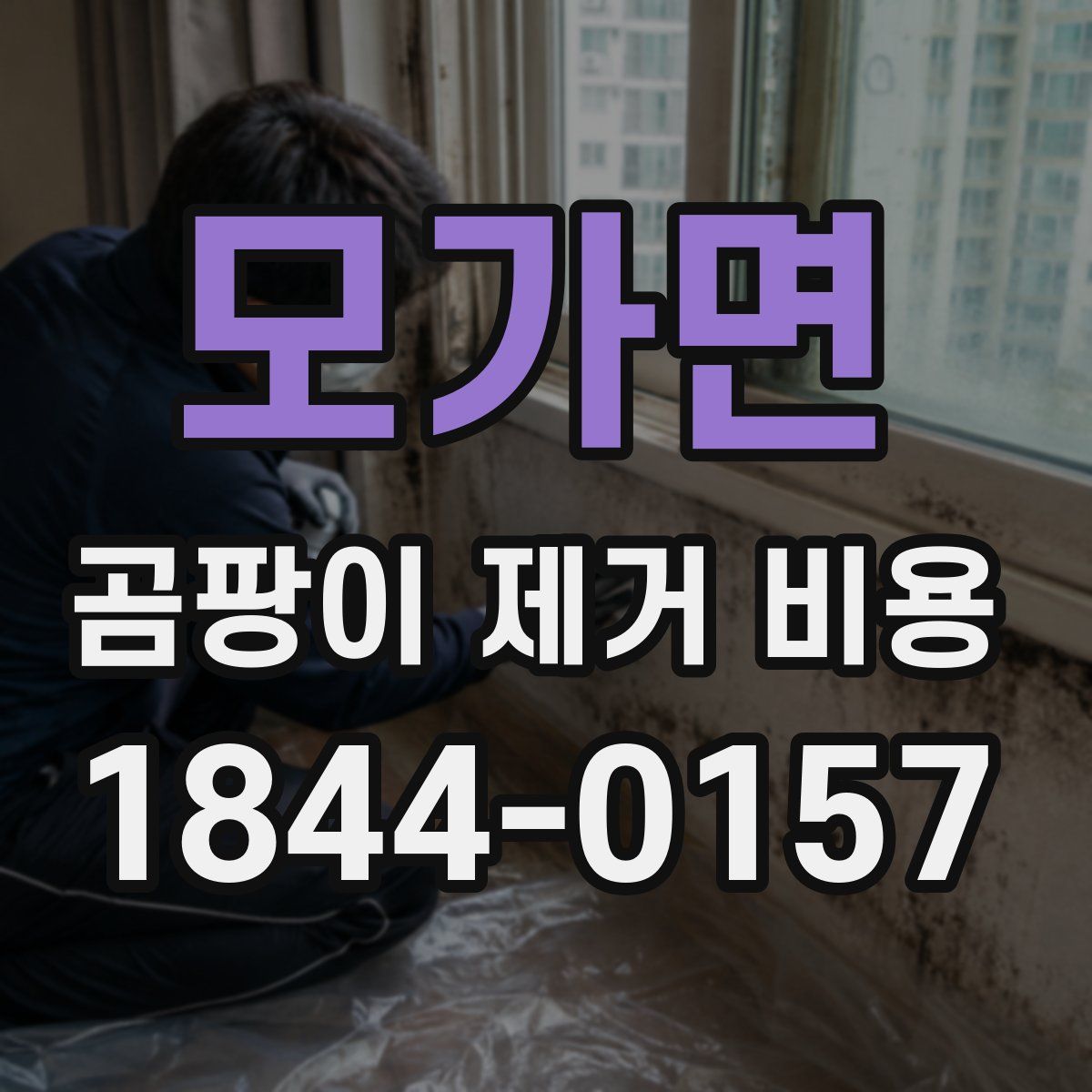 모가면 곰팡이 제거 비용