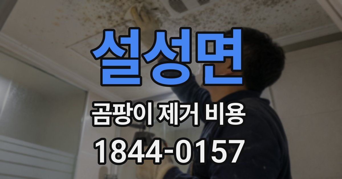설성면 곰팡이 제거 비용