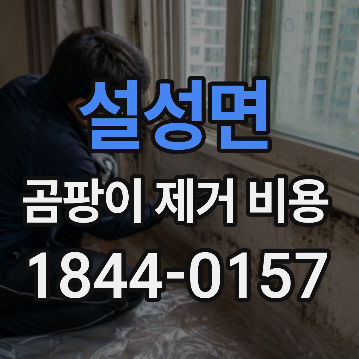 설성면 곰팡이 제거 비용