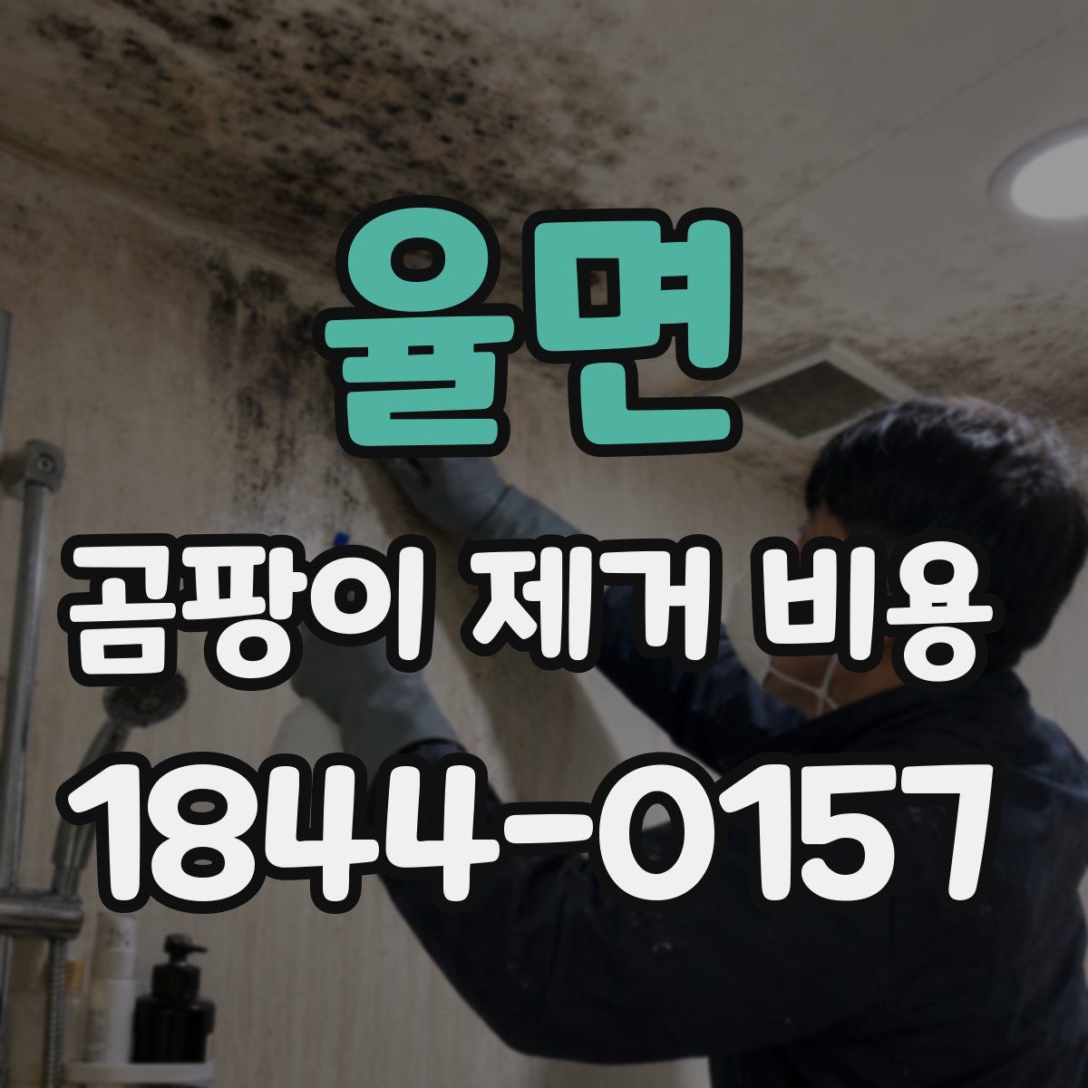 율면 곰팡이 제거 비용