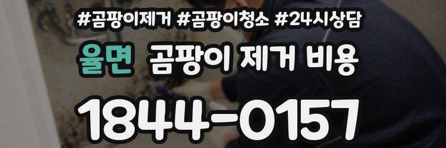 율면 곰팡이 제거 비용