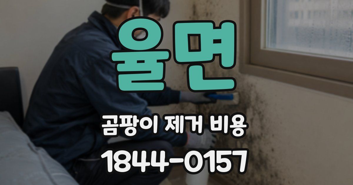율면 곰팡이 제거 비용