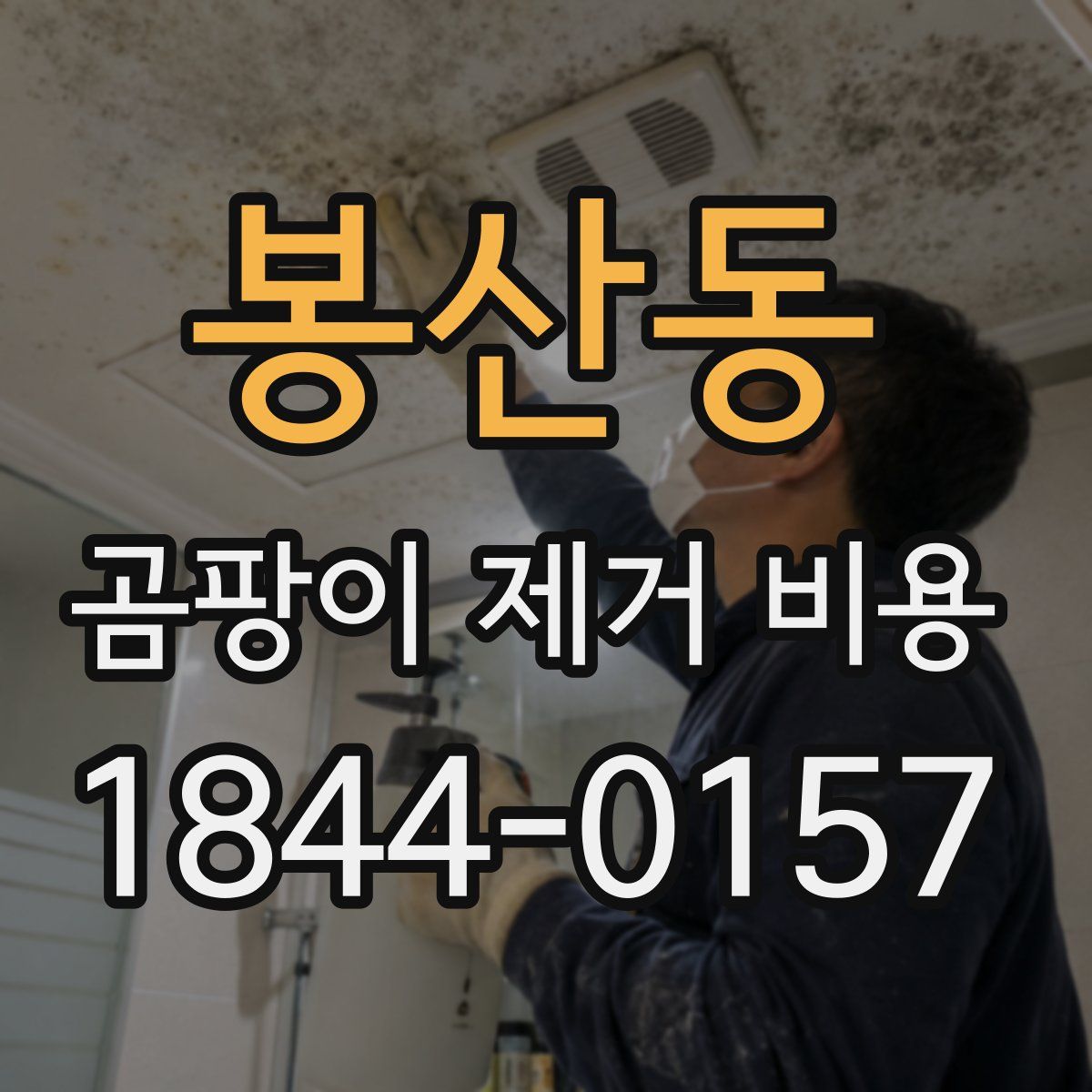 봉산동 곰팡이 제거 비용