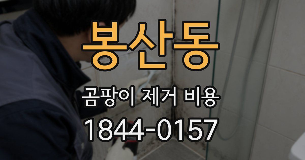 봉산동 곰팡이 제거 비용