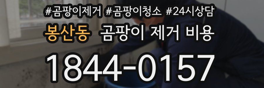 봉산동 곰팡이 제거 비용