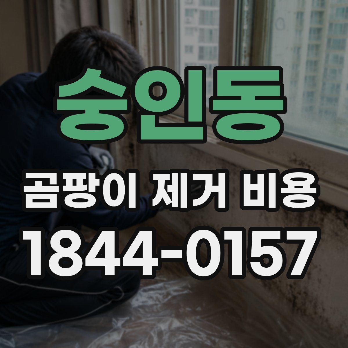 숭인동 곰팡이 제거 비용 재발을 막으려면 어떤 점을 체크할까