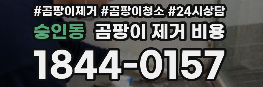 숭인동 곰팡이 제거 비용