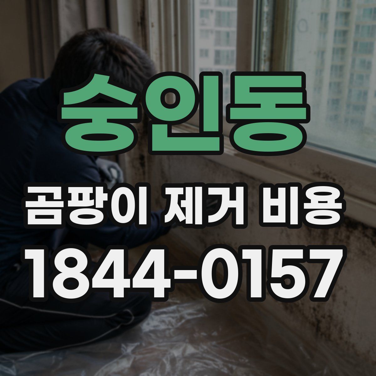 숭인동 곰팡이 제거 비용