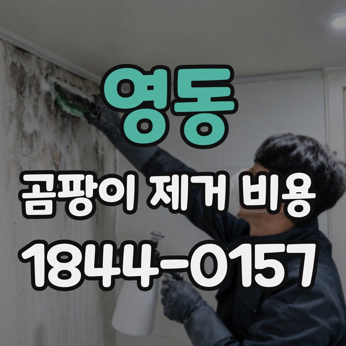 영동 곰팡이 제거 비용