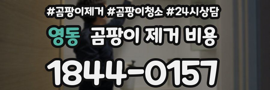 영동 곰팡이 제거 비용