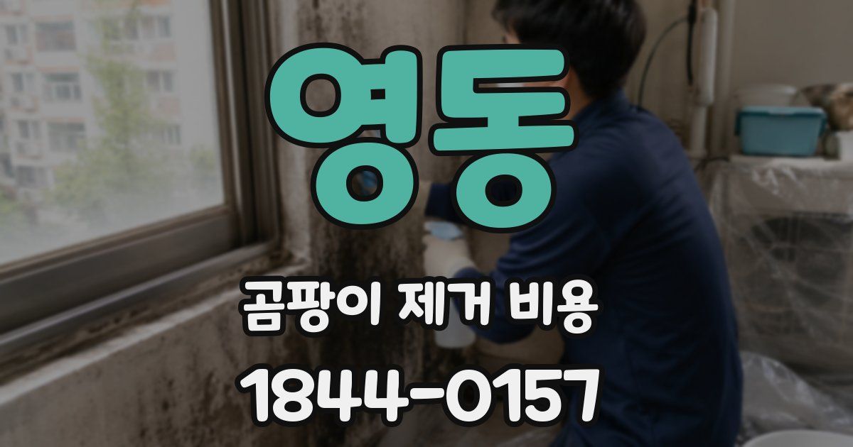 영동 곰팡이 제거 비용