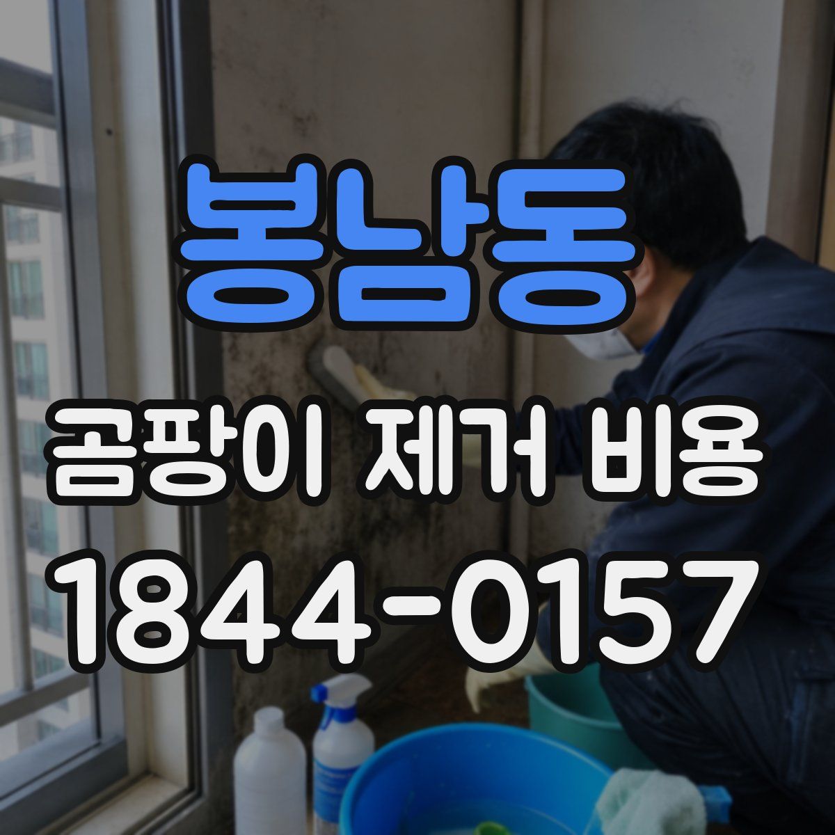 봉남동 곰팡이 제거 비용