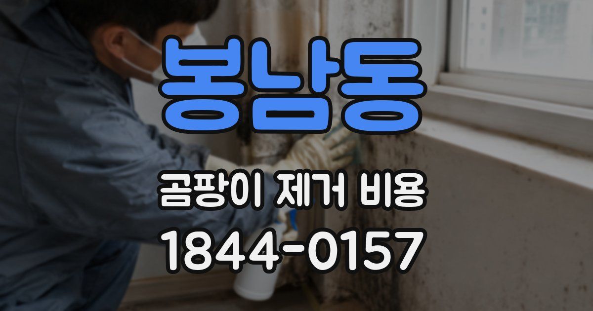 봉남동 곰팡이 제거 비용