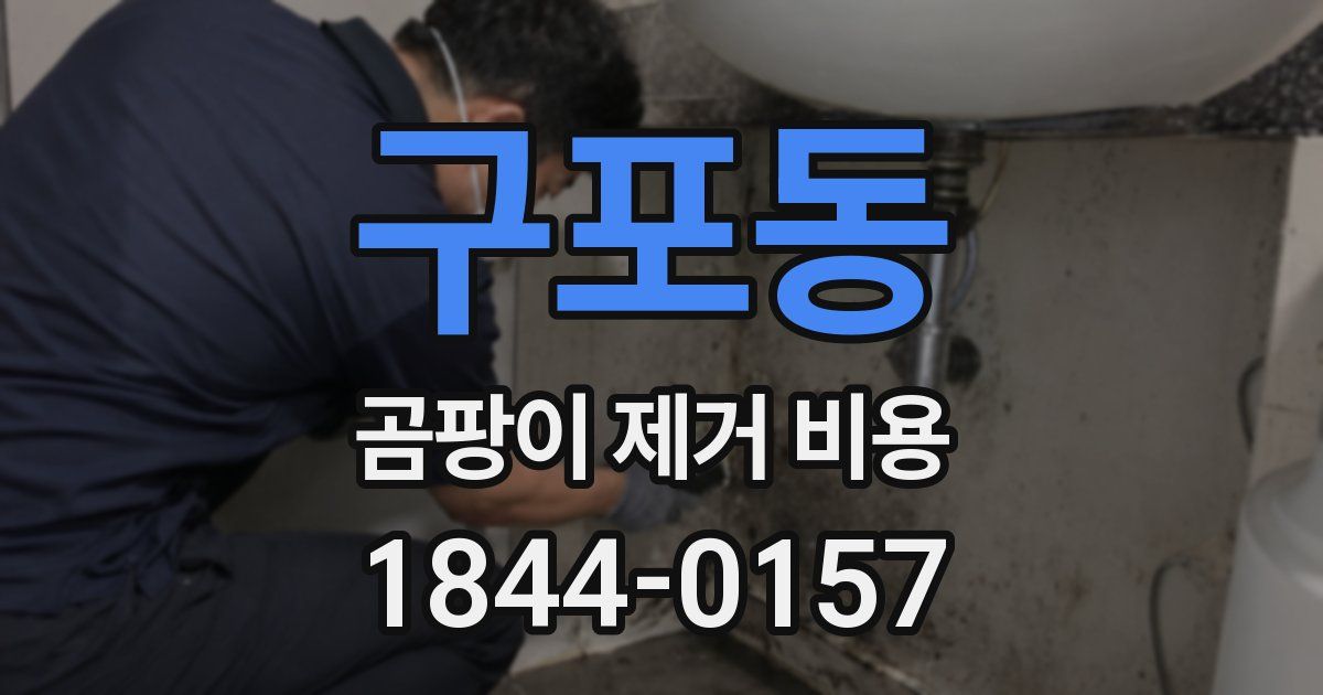 구포동 곰팡이 제거 비용