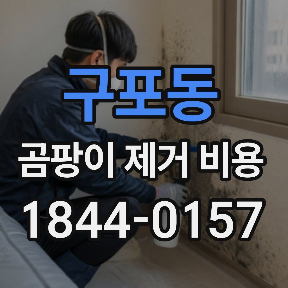 구포동 곰팡이 제거 비용