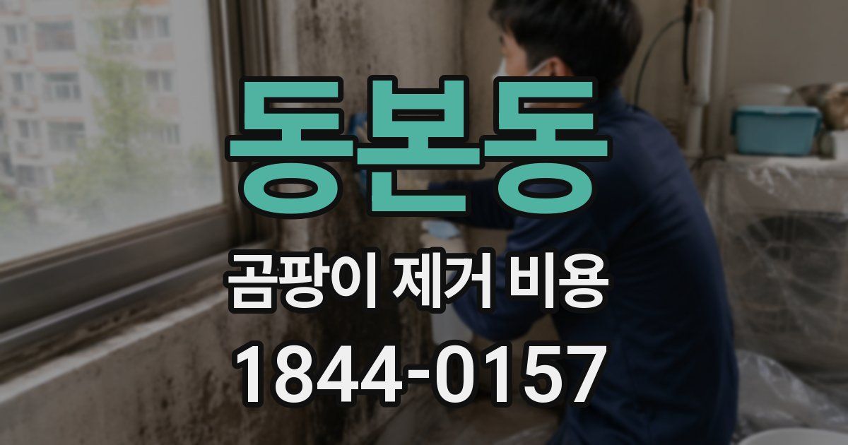 동본동 곰팡이 제거 비용