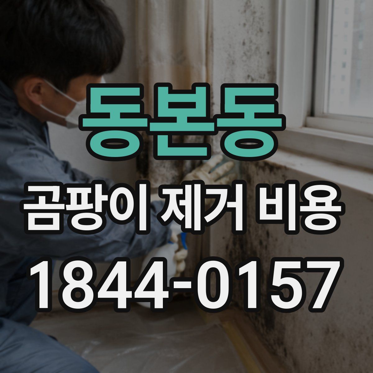 동본동 곰팡이 제거 비용