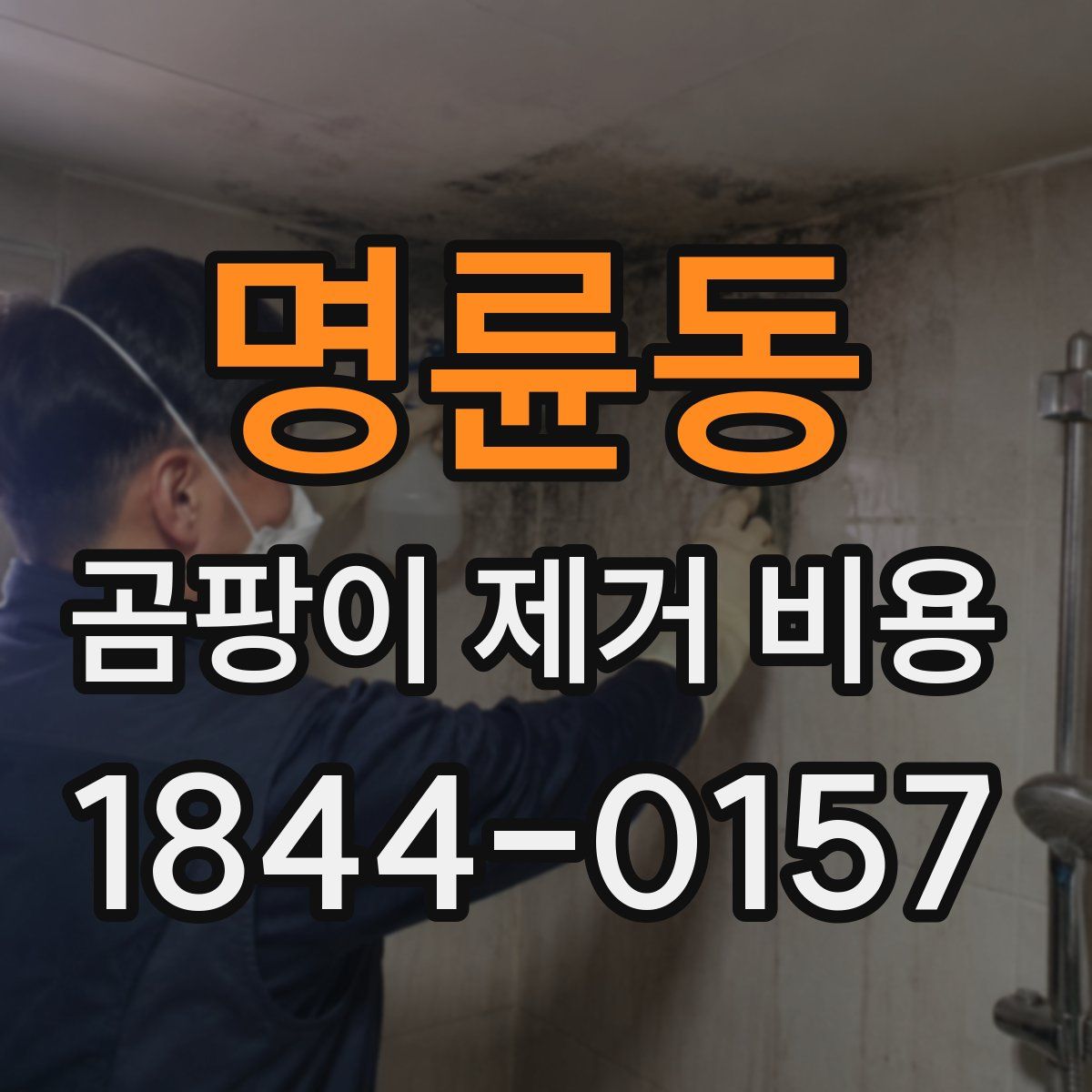 명륜동 곰팡이 제거 비용