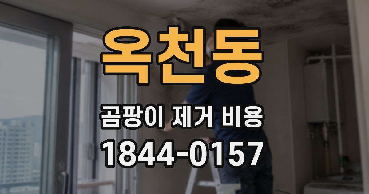 옥천동 곰팡이 제거 비용