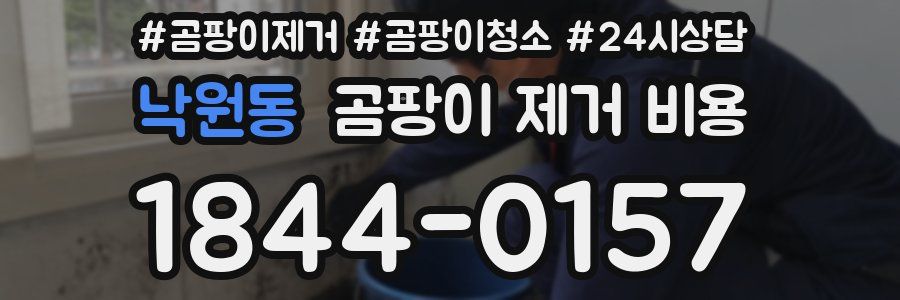 낙원동 곰팡이 제거 비용