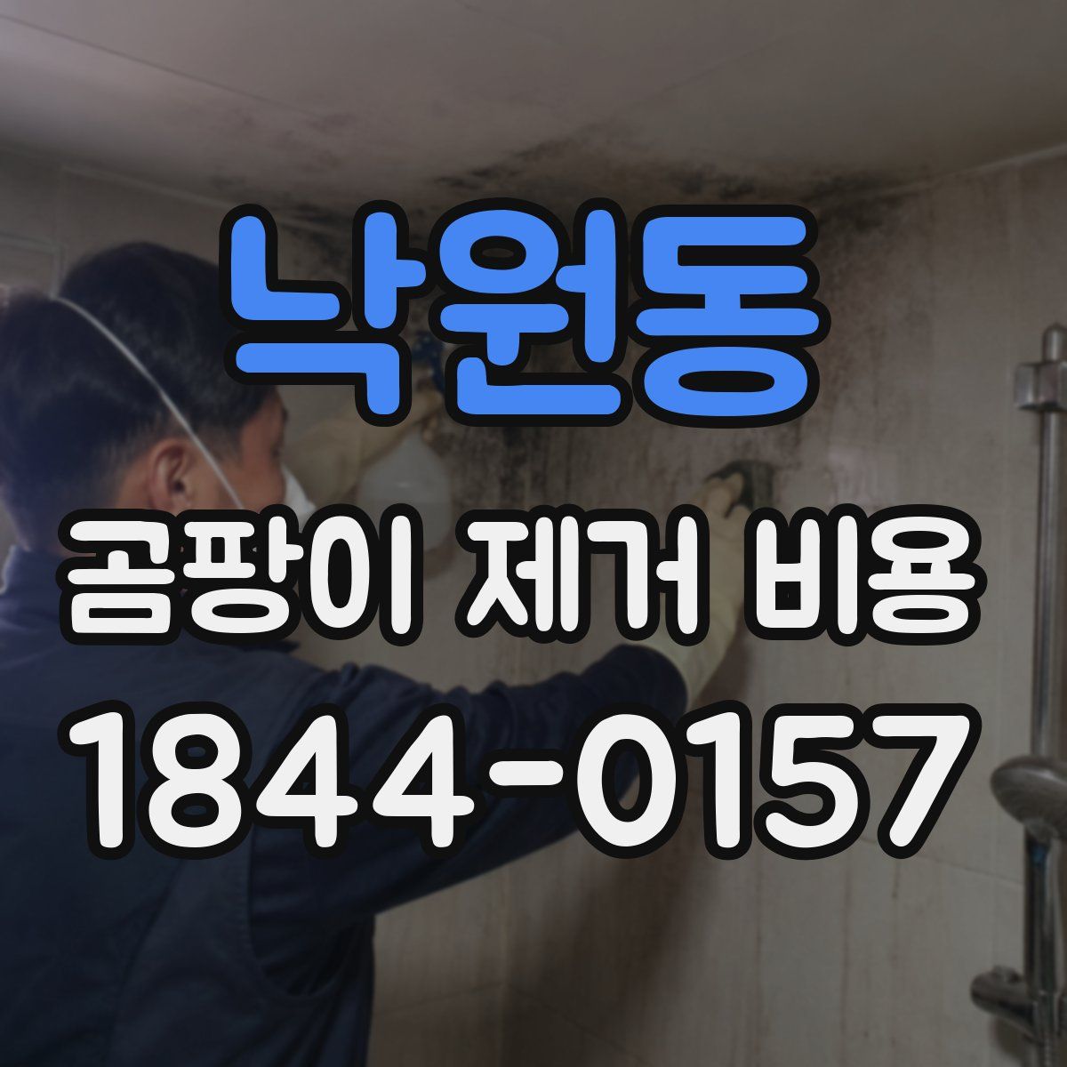 낙원동 곰팡이 제거 비용