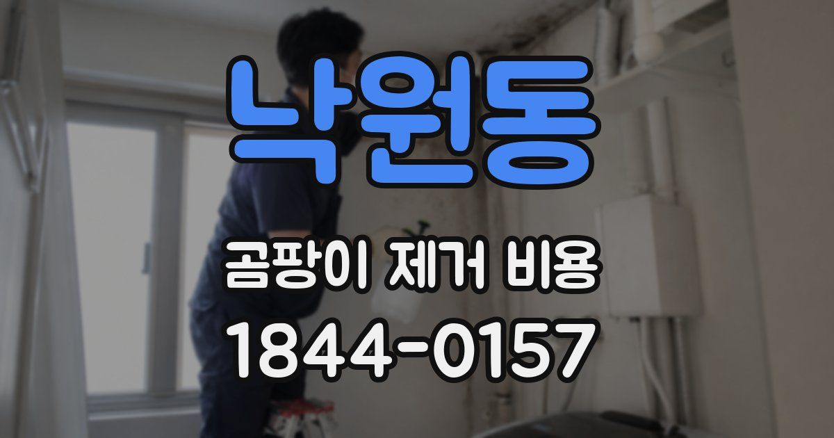낙원동 곰팡이 제거 비용