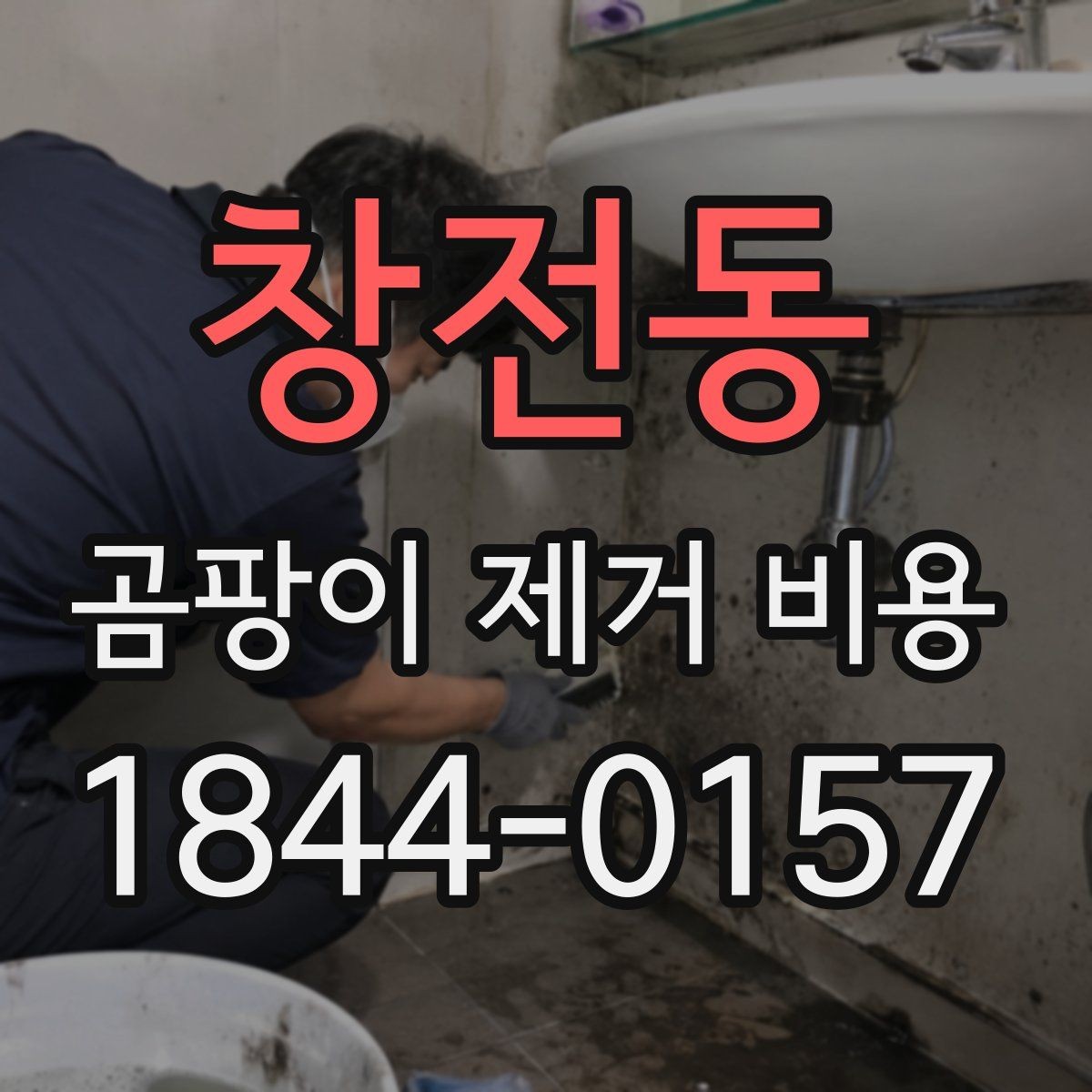 창전동 곰팡이 제거 비용 현장 인원 수에 따라 달라지는 산정 방식