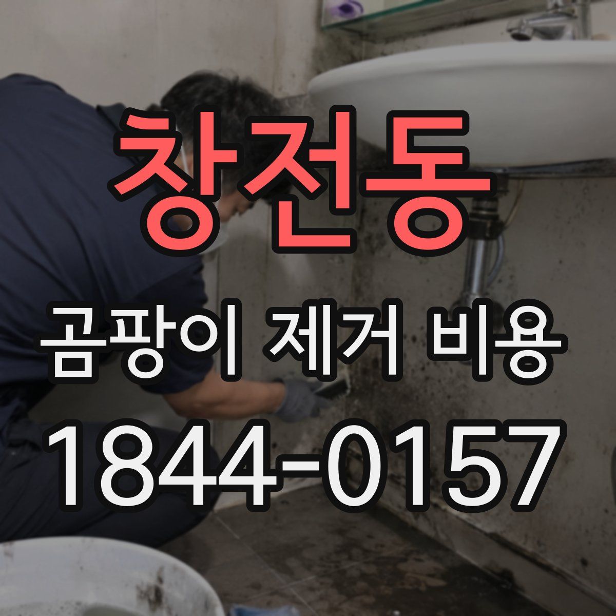 창전동 곰팡이 제거 비용