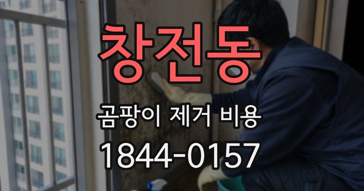 창전동 곰팡이 제거 비용