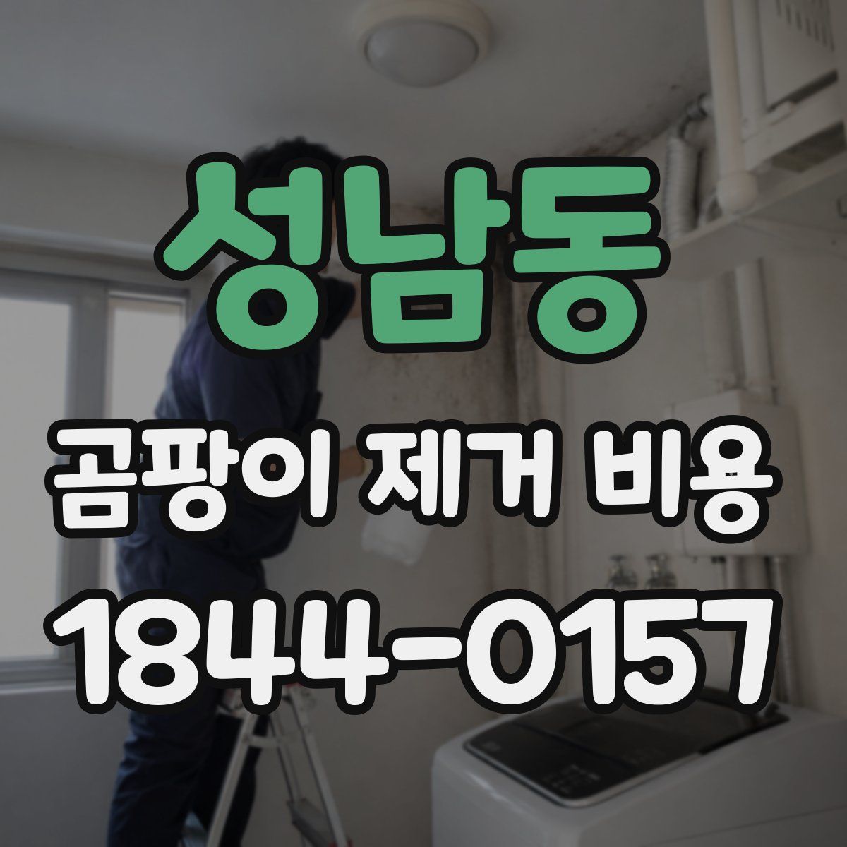 성남동 곰팡이 제거 비용
