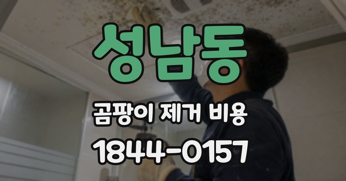 성남동 곰팡이 제거 비용